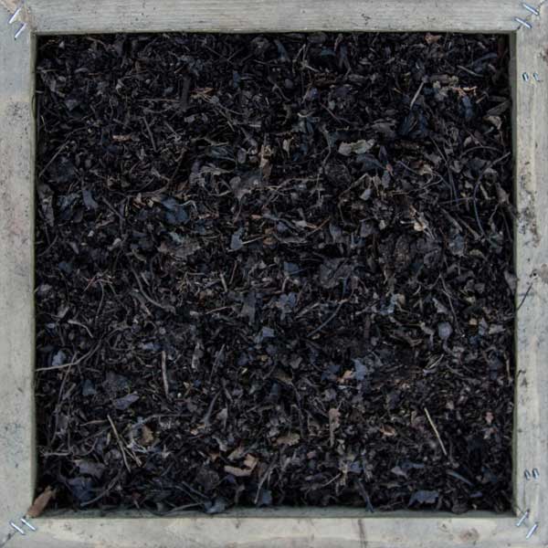 Organic nutrient rich Dark black Leaf Mulch