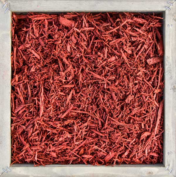 up close photo of shredded Colorized Red Mulch