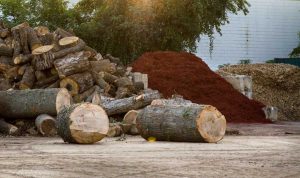 Hefty logs aside mound of red mulch and wood chips
